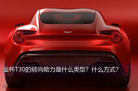 金杯T30的转向助力是什么类型？什么方式？