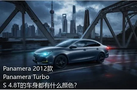 Panamera 2012款 Panamera Turbo S 4.8T的车身都有什么颜色？
