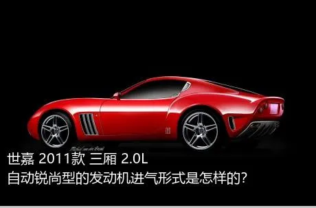 世嘉 2011款 三厢 2.0L 自动锐尚型的发动机进气形式是怎样的？