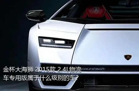 金杯大海狮 2015款 2.4L物流车专用版属于什么级别的车？