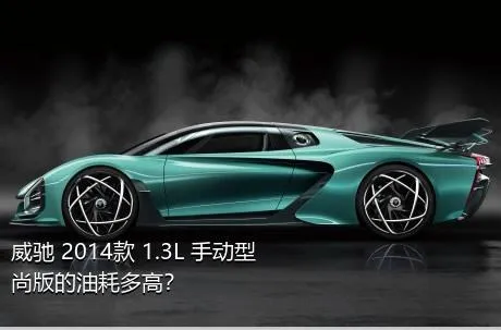威驰 2014款 1.3L 手动型尚版的油耗多高？