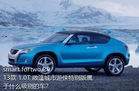 smart fortwo 2013款 1.0T 敞篷城市游侠特别版属于什么级别的车？