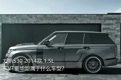 力帆530 2014款 1.5L CVT豪华型属于什么车型？