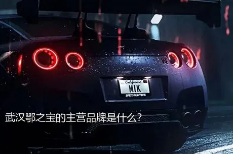 武汉鄂之宝的主营品牌是什么？