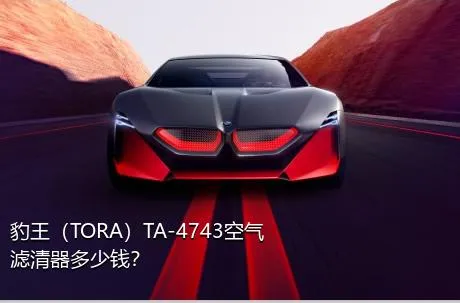 豹王（TORA）TA-4743空气滤清器多少钱？