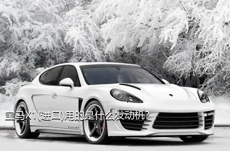 宝马X1(进口)用的是什么发动机？