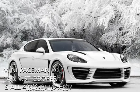 MINI PACEMAN 2014款 1.6T COOPER S ALL 4的轮胎是多大的？