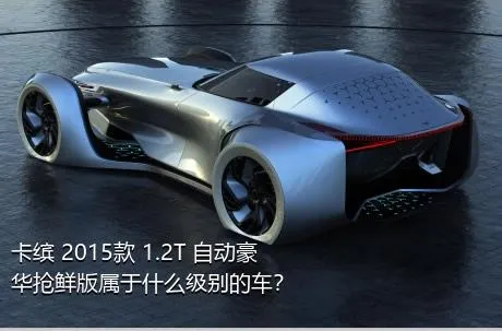 卡缤 2015款 1.2T 自动豪华抢鲜版属于什么级别的车？