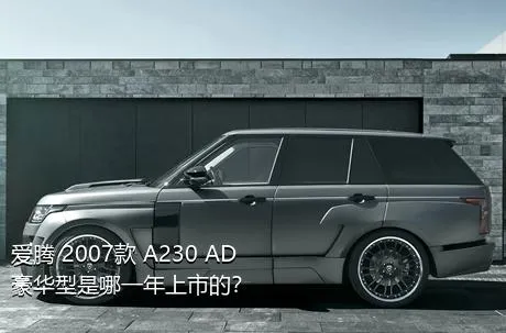 爱腾 2007款 A230 AD豪华型是哪一年上市的？