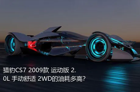 猎豹CS7 2009款 运动版 2.0L 手动舒适 2WD的油耗多高？