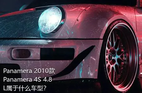 Panamera 2010款 Panamera 4S 4.8L属于什么车型？