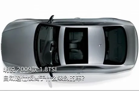 明锐 2009款 1.8TSI 自动逸仕版属于什么级别的车？
