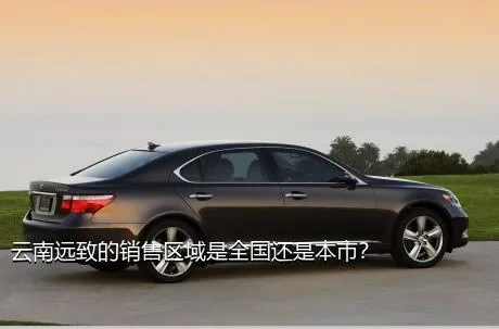 云南远致的销售区域是全国还是本市？