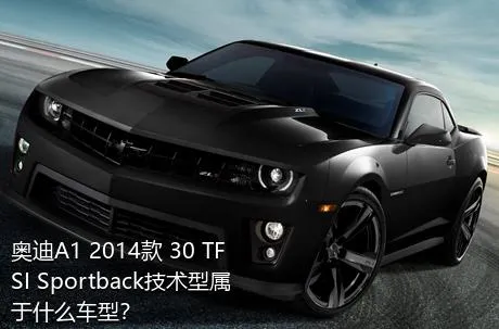 奥迪A1 2014款 30 TFSI Sportback技术型属于什么车型？