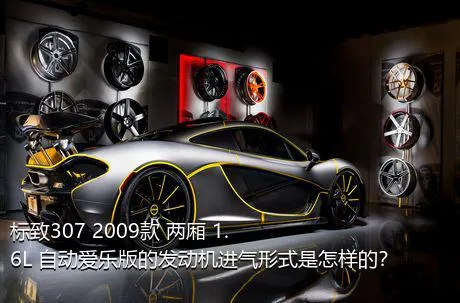 标致307 2009款 两厢 1.6L 自动爱乐版的发动机进气形式是怎样的？