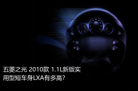 五菱之光 2010款 1.1L新版实用型短车身LXA有多高？