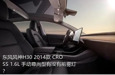 东风风神H30 2014款 CROSS 1.6L 手动尊尚型有没有前雾灯？