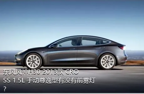 东风风神H30 2013款 CROSS 1.5L 手动尊逸型有没有前雾灯？