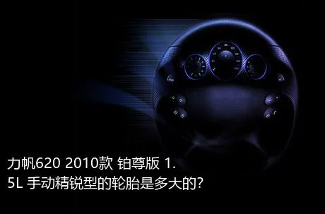 力帆620 2010款 铂尊版 1.5L 手动精锐型的轮胎是多大的？