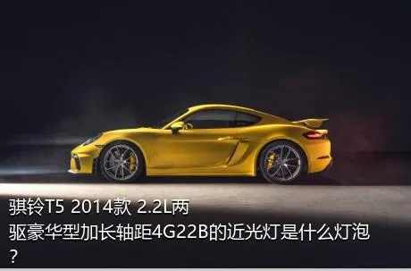 骐铃T5 2014款 2.2L两驱豪华型加长轴距4G22B的近光灯是什么灯泡？
