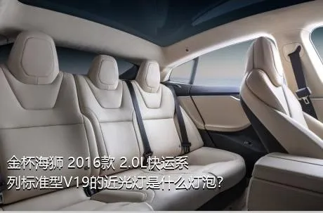 金杯海狮 2016款 2.0L快运系列标准型V19的近光灯是什么灯泡？
