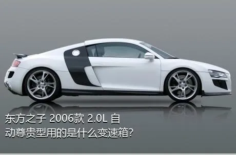 东方之子 2006款 2.0L 自动尊贵型用的是什么变速箱？