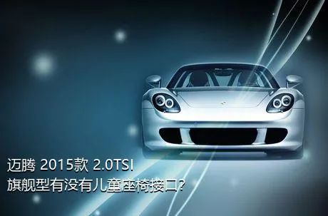 迈腾 2015款 2.0TSI 旗舰型有没有儿童座椅接口？