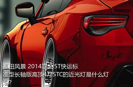 福田风景 2014款 2.5T快运标准型长轴版高顶4J25TC的近光灯是什么灯泡？