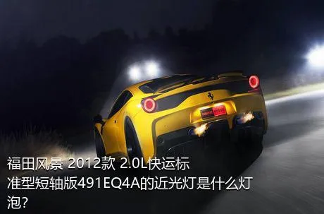 福田风景 2012款 2.0L快运标准型短轴版491EQ4A的近光灯是什么灯泡？