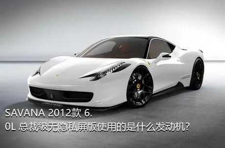 SAVANA 2012款 6.0L 总裁级无隐私屏版使用的是什么发动机？