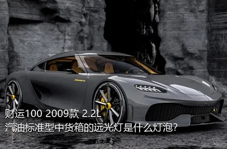 财运100 2009款 2.2L汽油标准型中货箱的远光灯是什么灯泡？