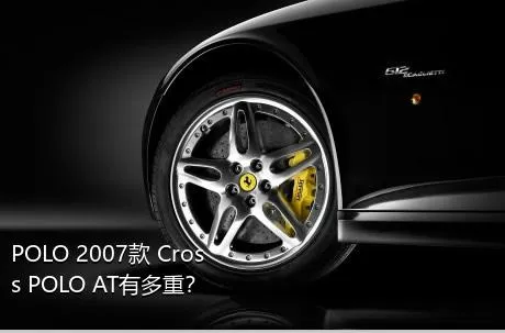 POLO 2007款 Cross POLO AT有多重？
