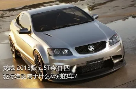 龙威 2013款 2.5T柴油 四驱标准型属于什么级别的车？