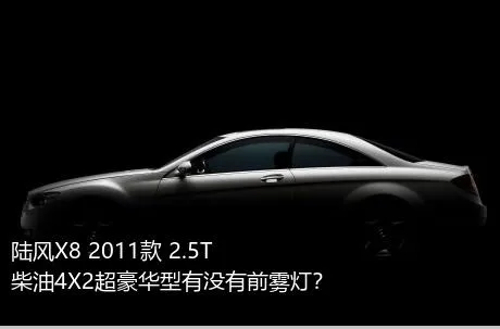 陆风X8 2011款 2.5T 柴油4X2超豪华型有没有前雾灯？