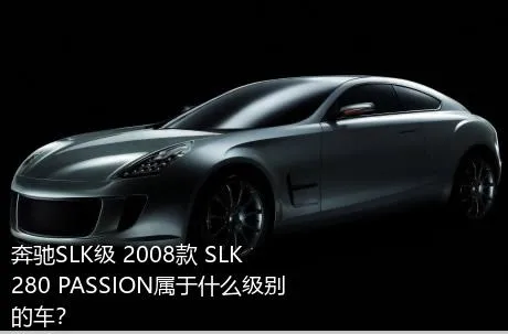 奔驰SLK级 2008款 SLK 280 PASSION属于什么级别的车？