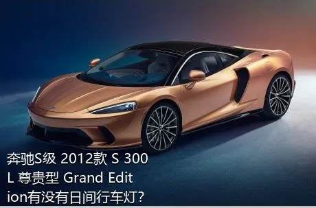 奔驰S级 2012款 S 300 L 尊贵型 Grand Edition有没有日间行车灯？