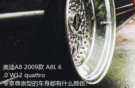 奥迪A8 2009款 A8L 6.0 W12 quattro 专享尊崇型的车身都有什么颜色？