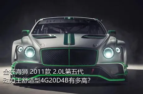 金杯海狮 2011款 2.0L第五代动力王舒适型4G20D4B有多高？