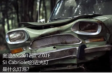奥迪A5 2012款 2.0TFSI Cabriolet的近光灯是什么灯泡？