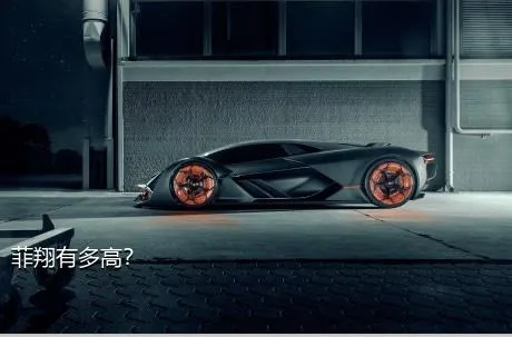 菲翔有多高？