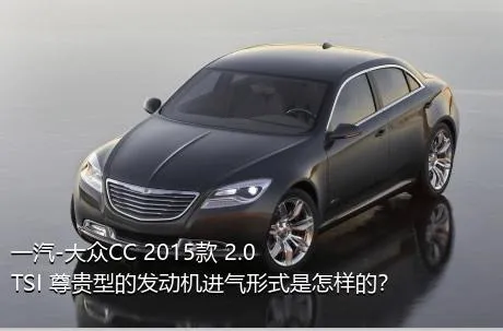 一汽-大众CC 2015款 2.0TSI 尊贵型的发动机进气形式是怎样的？