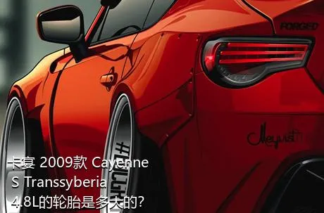 卡宴 2009款 Cayenne S Transsyberia 4.8L的轮胎是多大的？