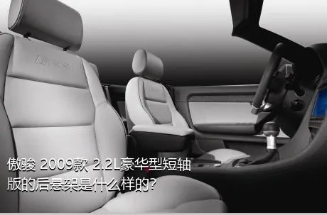 傲骏 2009款 2.2L豪华型短轴版的后悬架是什么样的？