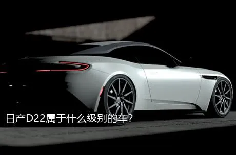 日产D22属于什么级别的车？