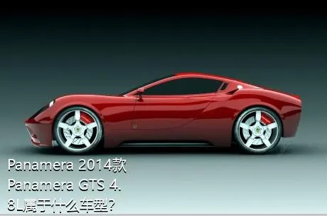 Panamera 2014款 Panamera GTS 4.8L属于什么车型？