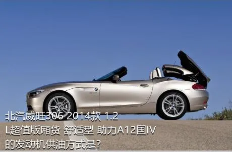 北汽威旺306 2014款 1.2L超值版厢货 舒适型 助力A12国IV的发动机供油方式是？