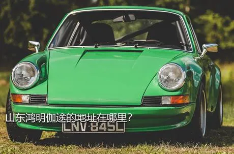 山东鸿明伽途的地址在哪里？