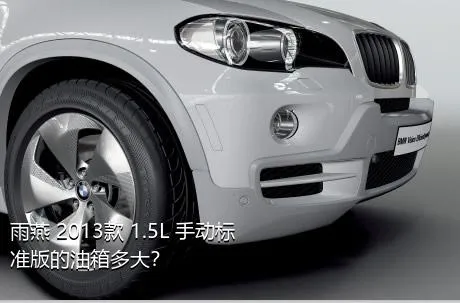 雨燕 2013款 1.5L 手动标准版的油箱多大？