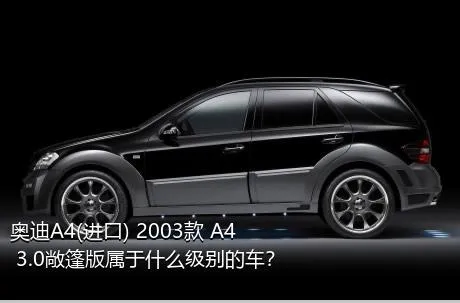奥迪A4(进口) 2003款 A4 3.0敞篷版属于什么级别的车？