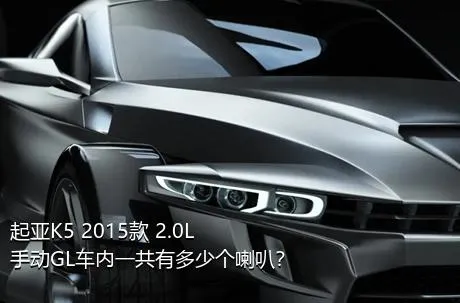 起亚K5 2015款 2.0L 手动GL车内一共有多少个喇叭？